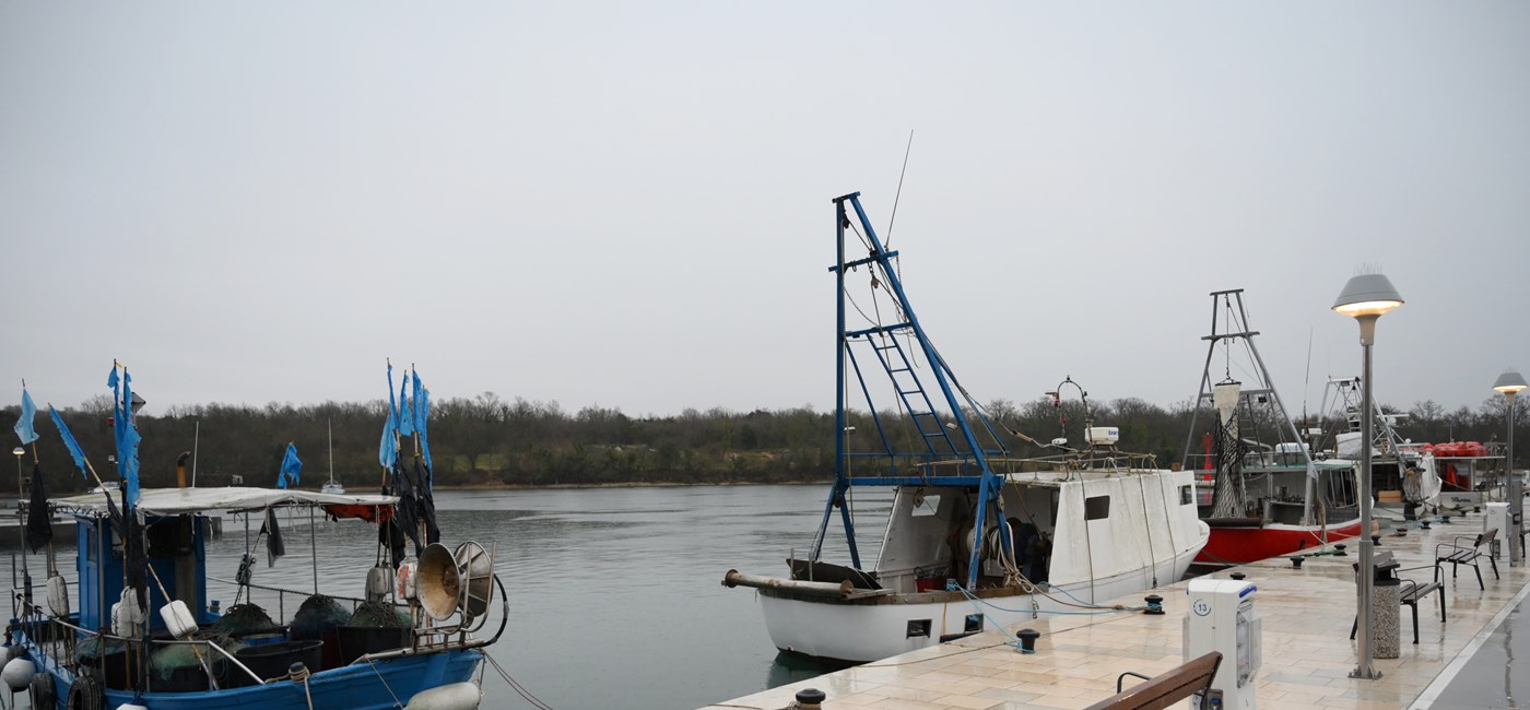Vlada podupire brojne projekte u Primorsko-goranskoj i Istarskoj županiji